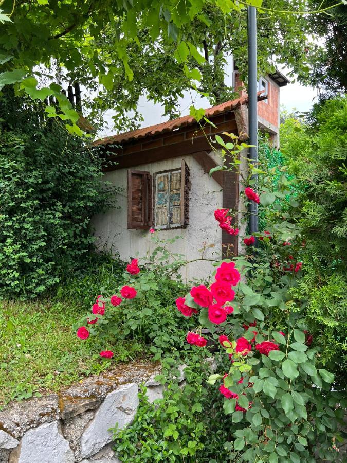 Apartmán Queen Visoko Exteriér fotografie