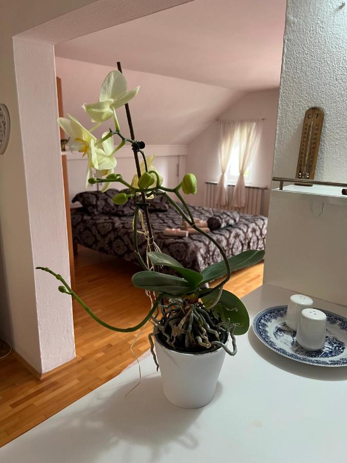 Apartmán Queen Visoko Exteriér fotografie